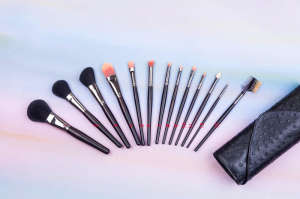 13 Pieces Good Quality Cosmetic Makeup Brush Set